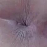 Convite para o Grupo do Whatsapp pornô Cu Guloso - Os cus mais famintos e paus prontos pra arrombar!
